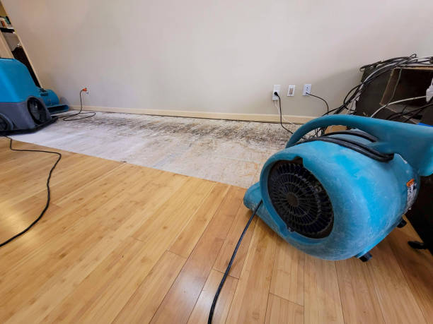 Professional Basement Flood Cleanup technician working in Mount Carmel, IL